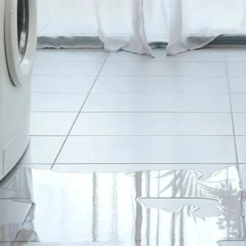 Appliance Leak Cleanup in Limestone, IL