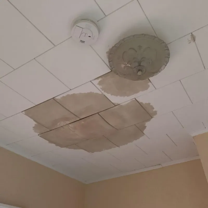 Ceiling Water Damage Repair in Limestone, IL