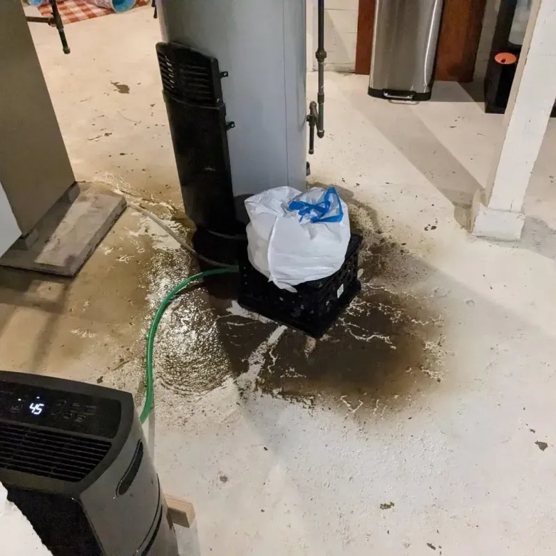 Sewage Backup Cleanup Service in Limestone, IL